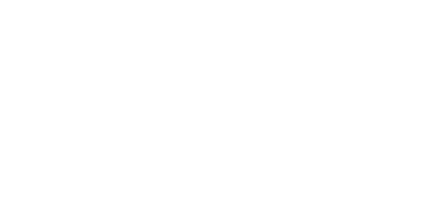 Logo Corporativo PFS